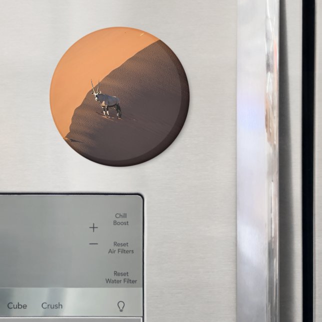 Íman Oryx na borda, Namíbia (In Situ (Fridge))