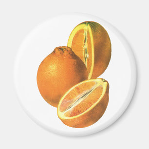 Íman Os alimentos do vintage, frutificam laranjas