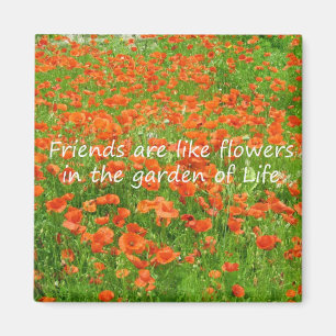 Íman Os amigos são como flores