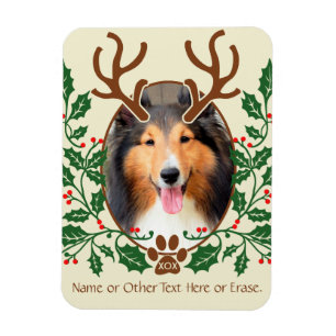 Íman Os Antlers do Natal para o cão/gato personalizam