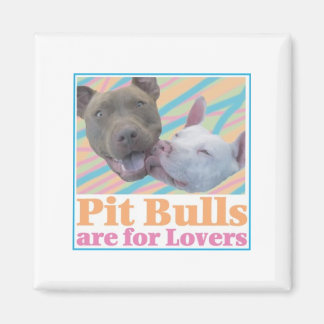 Íman Os Bulls de Pit são para Amantes