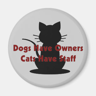 Íman Os cães têm gatos dos proprietários… ter