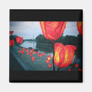 Íman “Os cais, a noite "