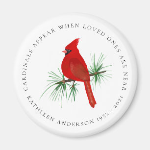 Íman Os Cardeais Aparecem Quando Os Amados Estão Perto