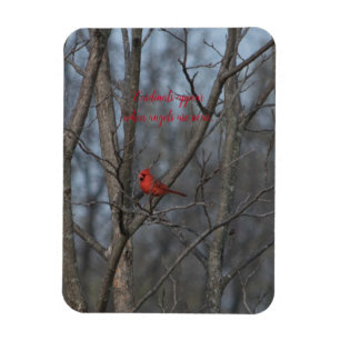 Íman Os cardeais do ímã aparecem quando os anjos est