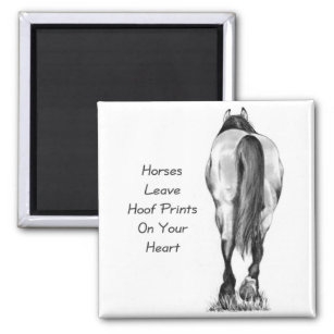 Íman Os Cavalos Deixam As Impressões No Seu Coração: Ar