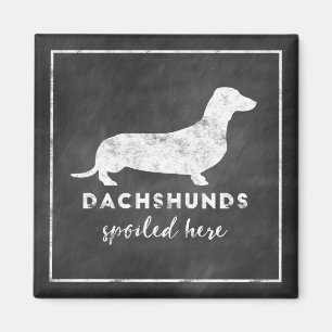 Íman Os Dachshunds estragaram aqui o quadro do vintage