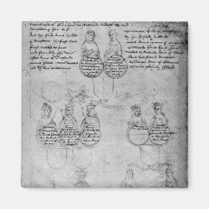 Íman Os descendentes do condessa Anne, c.1483