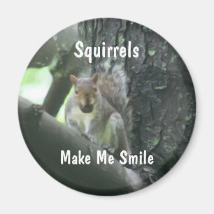 Íman Os esquilos fazem-me o ímã do animal do sorriso