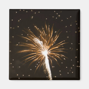 Íman Os fogos-de-artifício indicam em Savannah River