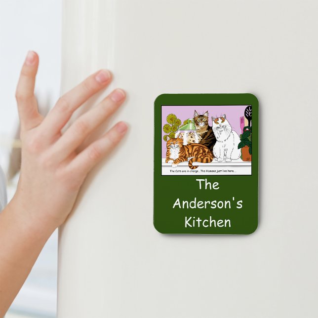 Íman Os Gatos estão no comando (Criador carregado)