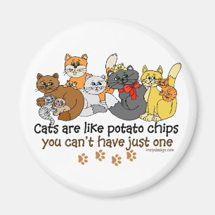 Íman Os gatos são como microplaquetas de batata