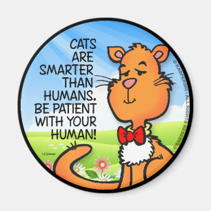 Íman Os Gatos São Mais Inteligentes