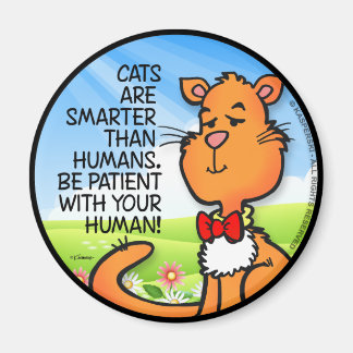 Íman Os Gatos São Mais Inteligentes
