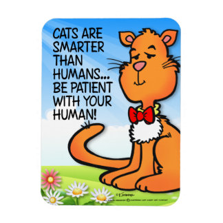 Íman Os Gatos São Mais Inteligentes