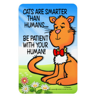 Íman Os Gatos São Mais Inteligentes