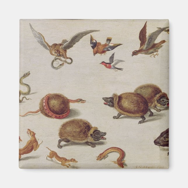 Íman Os inimigos dos Cobras (Frente)