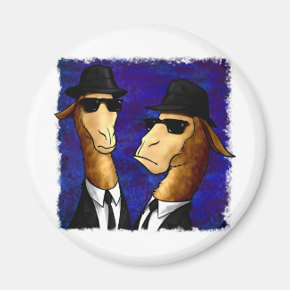 Íman Os Irmãos Lama