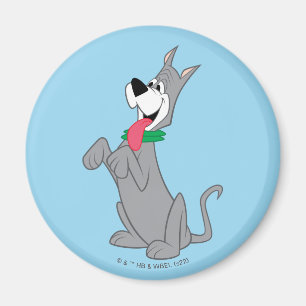 Íman Os Jetsons Astro Seu Cão