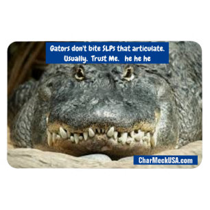 Íman Os jogadores não picam SLPs. Confie em mim. Ele é 