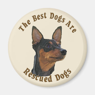 Íman Os melhores cães são salvados - Pinscher diminut