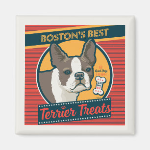 Íman Os Melhores Tratamentos Terrier de Boston