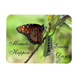 Íman Os milagre acontecem ímã