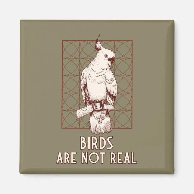 Íman os pássaros não veem a conspiração de espiões (Frente)