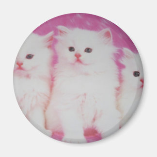 Íman Os próximos modelos mais importantes da América