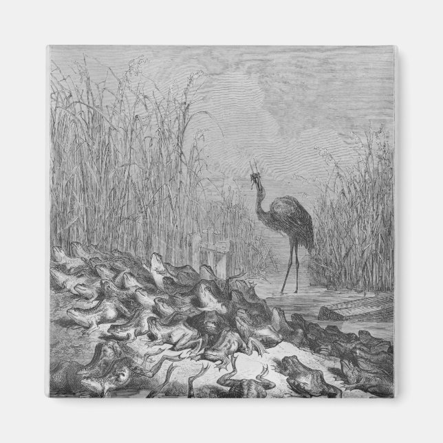 Íman Os sapos que pedem um rei. (Frente)