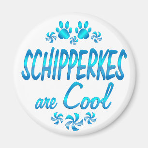 Íman Os Schipperkes são legal