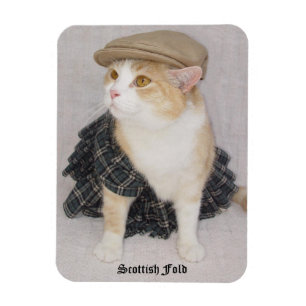 Íman Os Scottish engraçados dobram o gato/gatinho em u