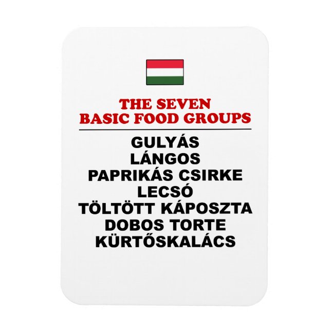 Íman Os Sete Grupos Alimentares Básicos Engraçado Húnga (Vertical)