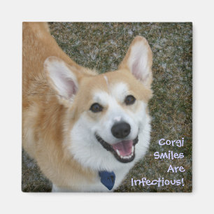 Íman Os sorrisos do Corgi são infecciosos!