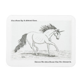 Íman Os Unicórnios São Reais