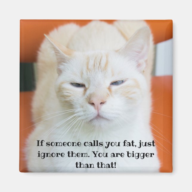 Íman Oscar, o Insulto Gato Engraçado (Frente)