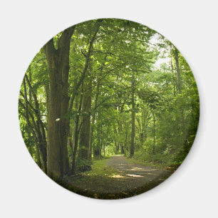 Íman Osceloa Island Weir Dam Bristol Tennessee