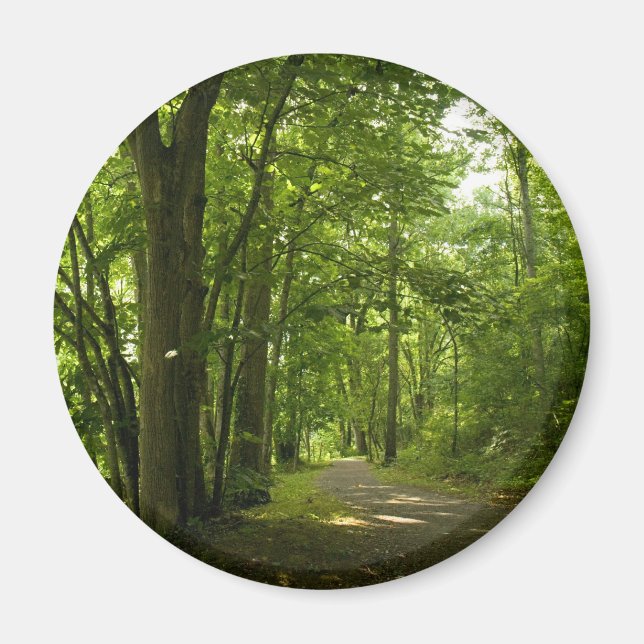 Íman Osceloa Island Weir Dam Bristol Tennessee (Frente)