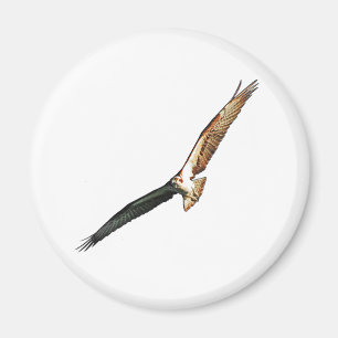 Íman Osprey