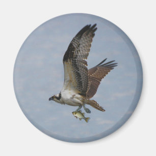 Íman Osprey
