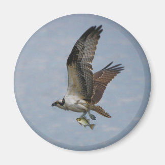Íman Osprey