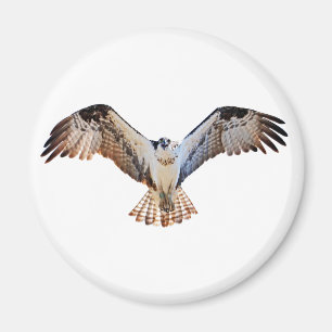 Íman Osprey