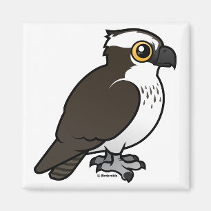 Íman Osprey bonito