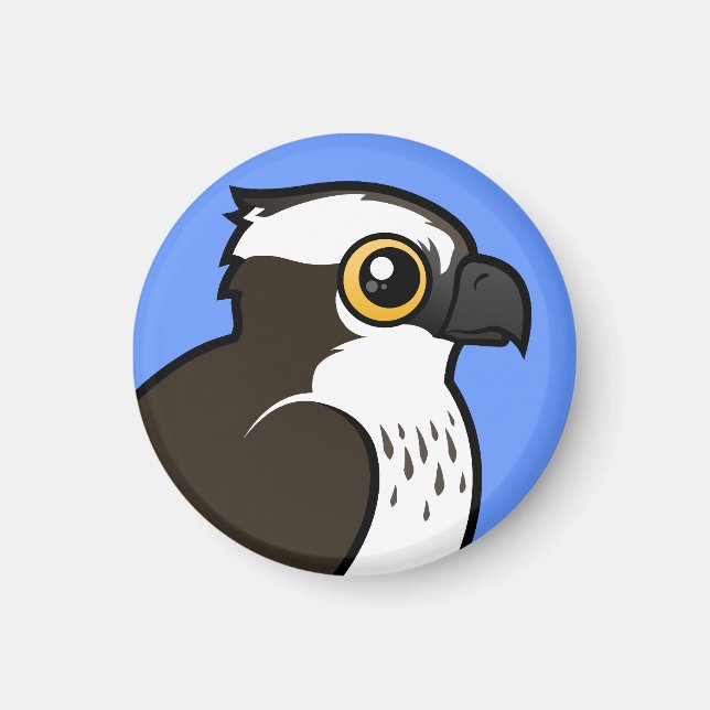 Íman Osprey Cute (Frente)