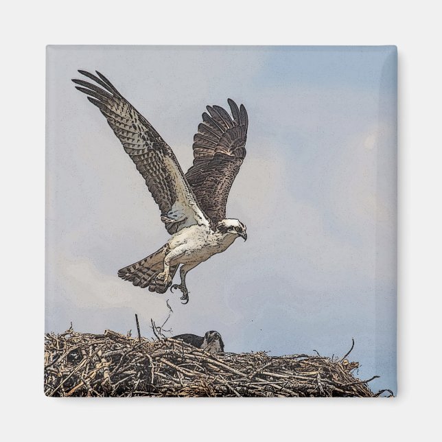Íman Osprey em um ninho (Frente)