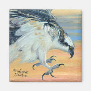 Íman "Osprey Landing"