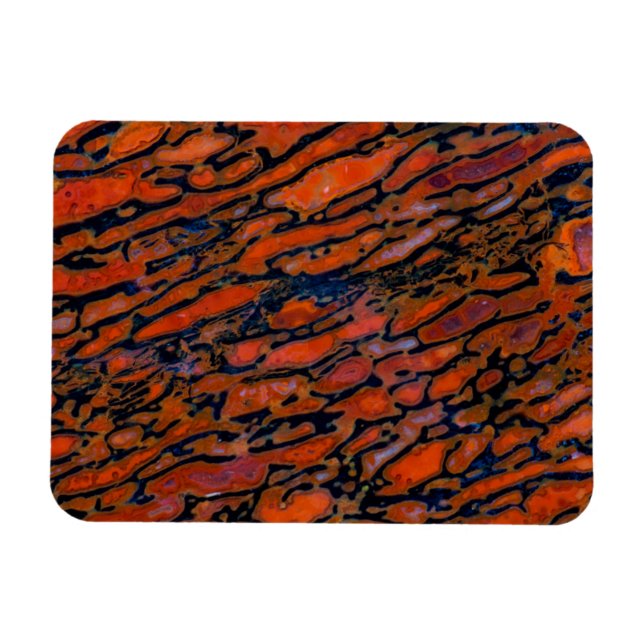 Íman Osso de dinossauro petrificado vermelho (Horizontal)
