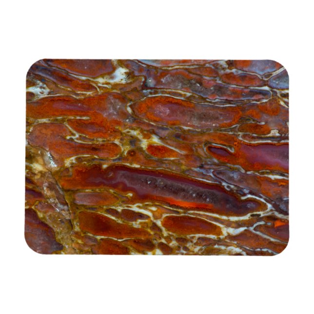 Íman Osso Petrificado de Dinossauro (Horizontal)