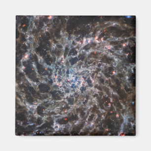 Íman Ossos da Galaxy IC5332 do JWST