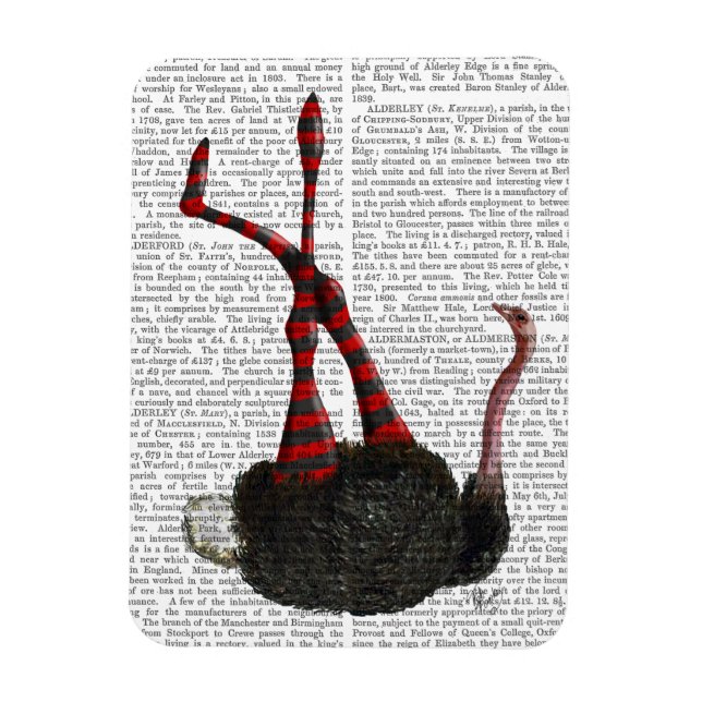 Íman Ostrich com Leggings (Vertical)